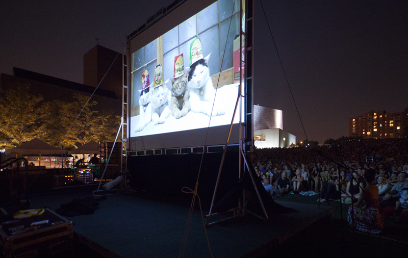 A crowd of 10,000 watched the first ever Internet Cat Video Festival at the Walker
