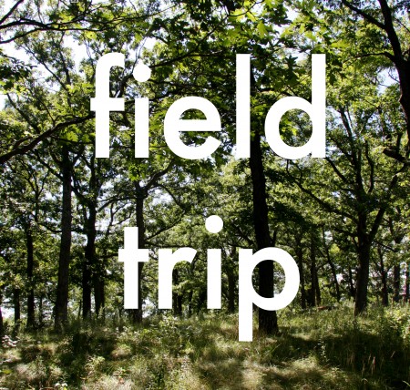Field Trip: No Permission Slips Necessary