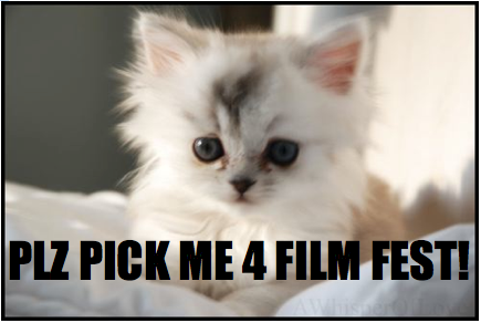 internet cat video film festival now accepting nominations videos for cats 435x292