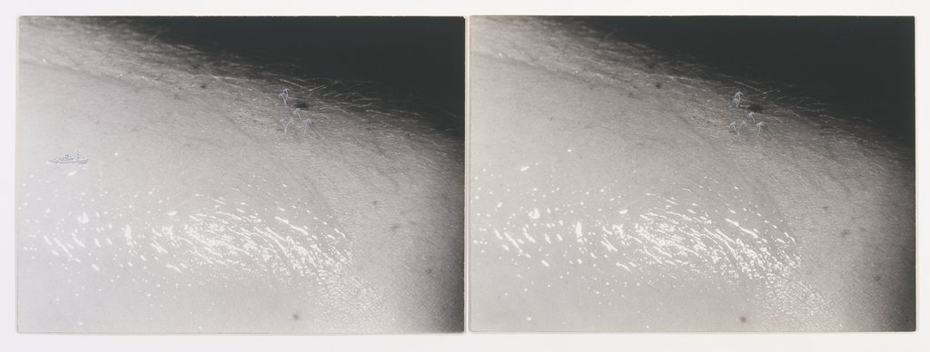 John Baldessari, Embed Series: Oiled Arm (Sinking Boat and Palms). Two black-and-white photographs mounted on paper board, 1974. Courtesy of the Walker Art Center.