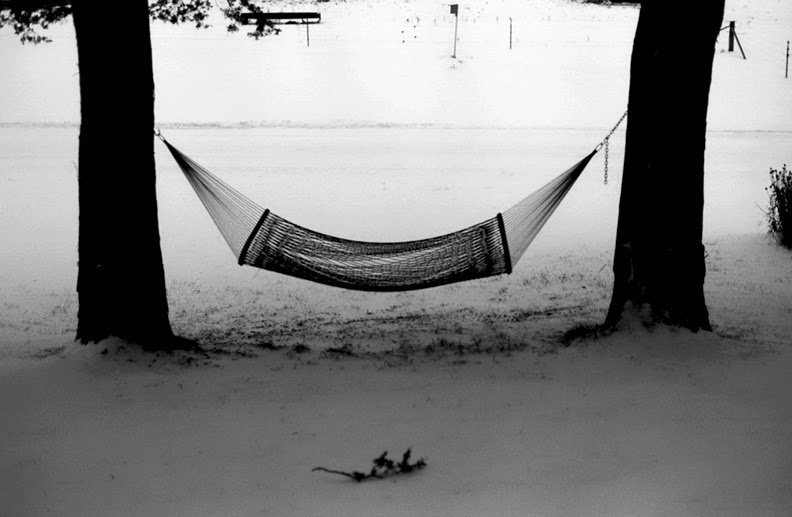 Jeffrey Skemp, Winter's Hammock: Johns Coulee, WI, 2014.
